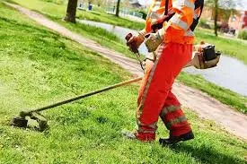 aver cura del verde pubblico significa avere a cuore il benessere dei cittadini